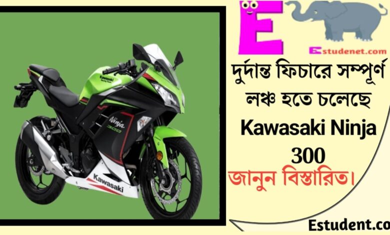 Kawasaki Ninja 300