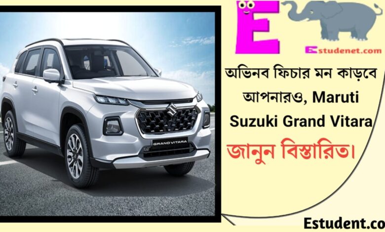 Maruti Suzuki Grand Vitara